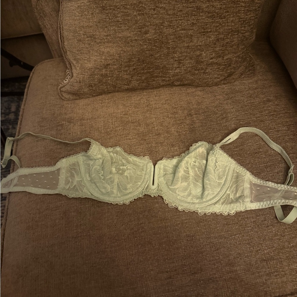 Auden Lace Bra in Light Green